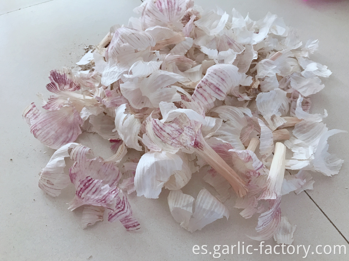 New Crop Fresh Garlic in High Quality